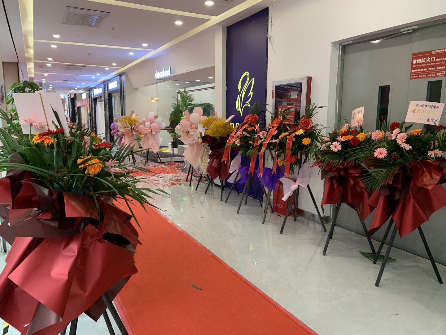 品牌張力初顯 蝶依斕近日再簽5城12店