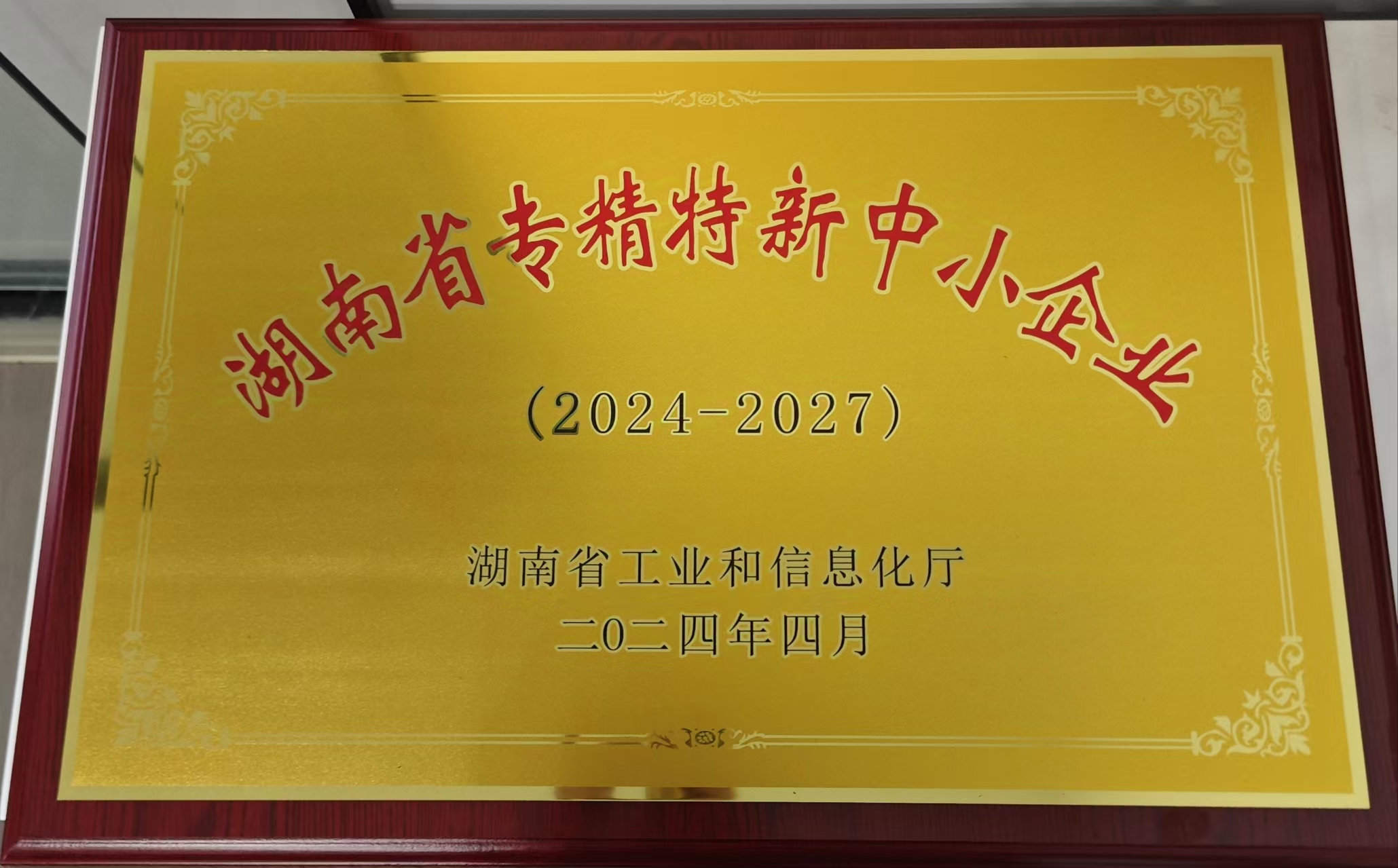 “專精特新”企業(yè)